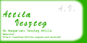 attila veszteg business card